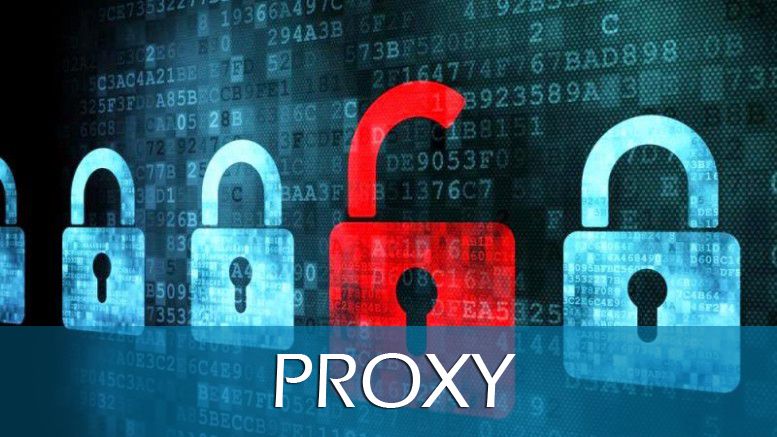 Servidor Proxy Brasil Profissional